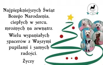 Wyczesany Psiak 